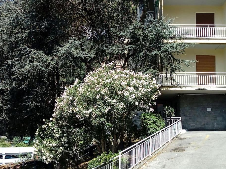 Alma Vacanza Rapallo Exterior photo